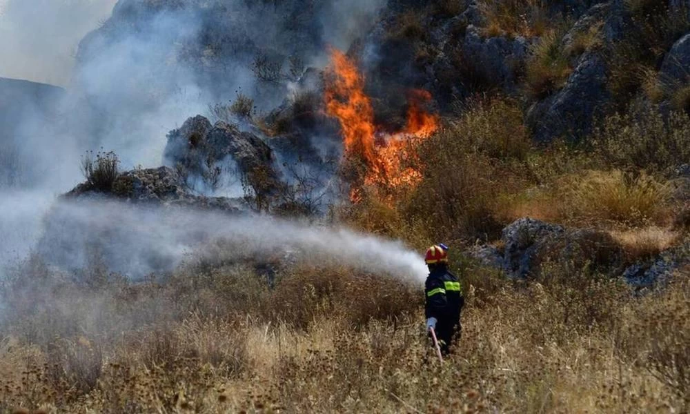 Πυρκαγιά στην Ηλεία: Πιθανός ο εμπρησμός - Τι εξετάζουν οι αρχές